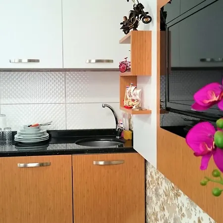 アパートホテル Grafen House