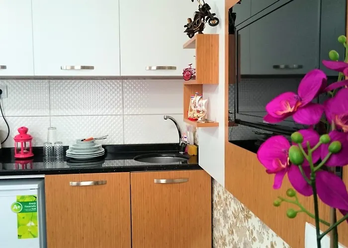 Apart-hotel Grafen House